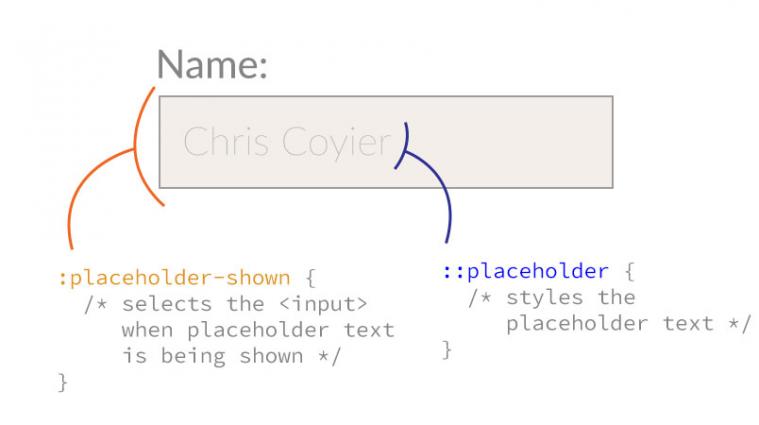 Динамический плейсхолдер (placeholder)