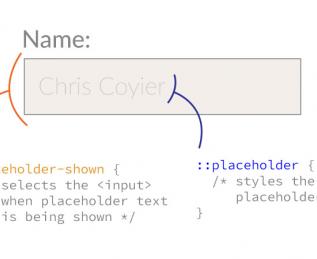 Динамический плейсхолдер (placeholder)